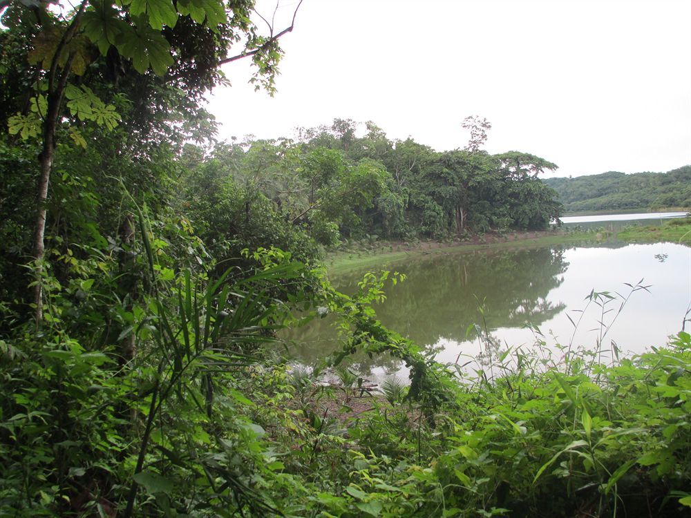 Maya Zac Peten Jungle Lodge El Remate Exterior photo